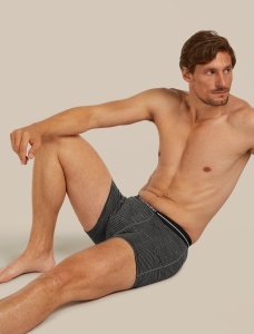 Icebreaker - boxeri - Anatomica Boxers - Gritstone Hthr/Black/S - L - Img 5