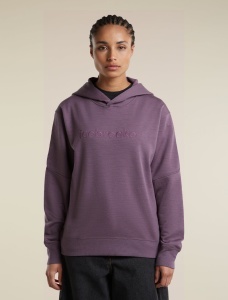 Icebreaker - hanorac - 360 RealFleece Elemental LS Hood W - Grey Plum - L
