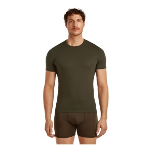 Tricou Barbati Icebreaker Merino 150 Anatomica Gri