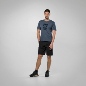 Tricou tehnic barbati Salewa Eagle 3 Cime Bleu - Img 5