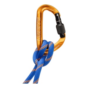 Carabiniera Mammut Sender Gold - Img 3