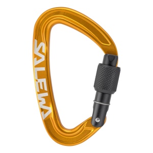 Carabiniera Salewa Ortles Screw