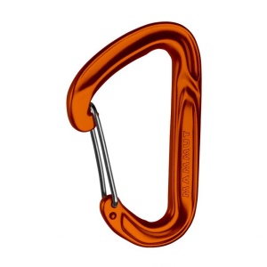 Carabiniera Wall Light One Size Wire Gate Orange