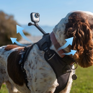 Ham pentru animale Insta360 Pet Harness Mount GO Ultra - mărimea S - Img 4
