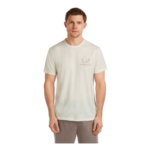 Tricou Barbati Icebreaker Merino 150 Tech Lite Peaceful Pass Gri