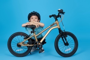 Bicicleta Royal Baby Kable-Belt 16 Golden - Img 8
