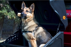 Cutie portbagaj pe carligul de remorcare Towbox V1 DOG Gri - Img 2