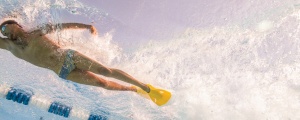 Finis Edge labe - Img 4