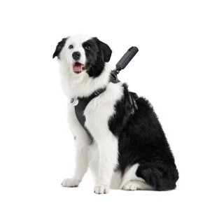 Ham de prindere pentru animale Insta360 - mărimea L