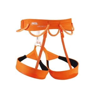 Ham Hirundos Orange S C036Ba01