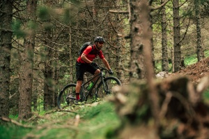 Merida Big.Nine 700 - bicicleta MTB hardtail XC 29" - verde Ever Green - Img 2