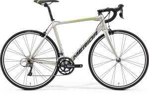 Merida Scultura Rim 100 - kit cadru - gri-verde - S-M