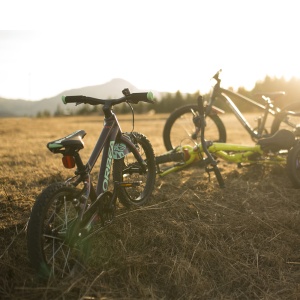 Orbea MX 20 TEAM DISC Mango (Gloss) - Black (Matt) - măsura 20 - bicicletă copii - Img 2