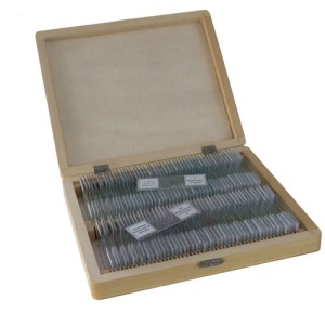 Set 100 preparate diferite Bresser 5986003