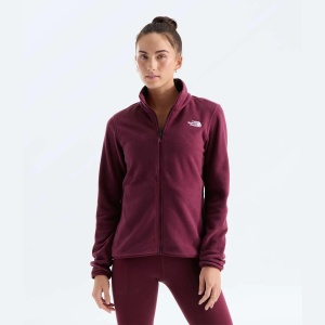 The North Face - polar femei - Glacier Fleece Jacket - Black - XS - Img 9