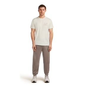 Tricou Barbati Icebreaker Merino 150 Tech Lite Peaceful Pass Gri - Img 3