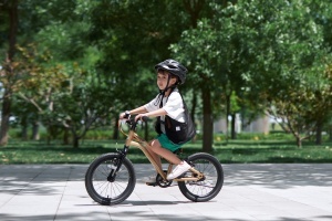 Bicicleta Royal Baby Kable-Belt 16 Golden - Img 5