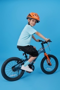 Bicicleta Royal Baby Kable-EZ 16 Blue - Img 9