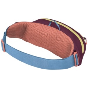 Borseta Osprey Daylite Visiniu/Bleu - Img 2