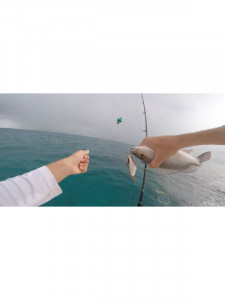 Camera-Subacvatica-de-Pescuit-GoFish