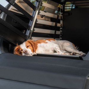 Covoras pentru cusca auto caini Thule Allax Standard - Img 3