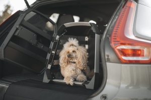 Cutie auto transport caine THULE Allax - Img 4