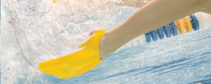 Finis Edge labe - Img 6