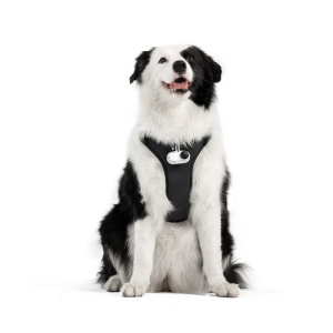 Ham de prindere pentru animale Insta360 - mărimea L - Img 2
