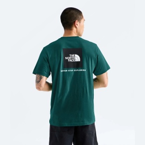 The North Face - tricou - Evolution Box NSE Regular Tee - Black | White - L - Img 9