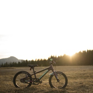 Bicicletă copii Orbea MX 24 TEAM DISC - Halo Silver | Spicy Lime (Matt) - Img 5