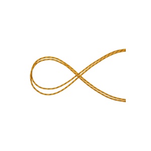 Coarda Statica Performance 10.0 Yellow-Black.200 M