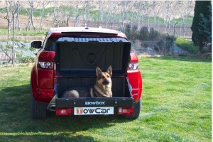 Cutie portbagaj pe carligul de remorcare Towbox V1 DOG Gri - Img 3