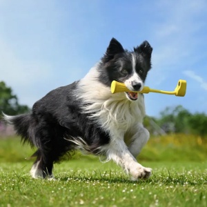 Insta360 GO 3 Fetch Stick - Img 2