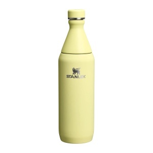 Sticla Apa Stanley The All Day Slim Yellow 0.6L