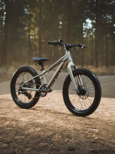 Bicicleta Fat Bike Copii Giant Liv STP 20” Blue - Img 10