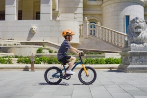 Bicicleta Royal Baby Kable-EZ 16 Blue - Img 3