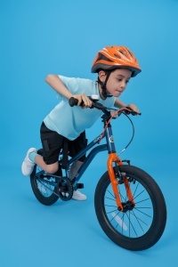 Bicicleta Royal Baby Kable-EZ 16 Golden - Img 17