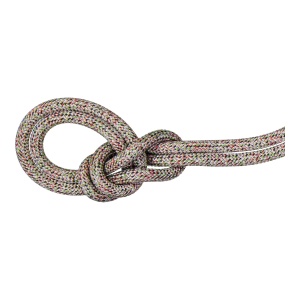 Coarda Dinamica Mammut 8.0 Alpine Core Protect Dry Rope 30m Multicolor