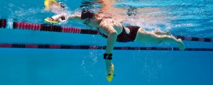 Finis Bolster palmare - Img 3