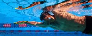 Finis Fulcrum Antebrat adulti - Img 3