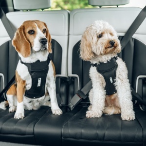 Ham auto pentru caini Thule Cappy, L - Img 5