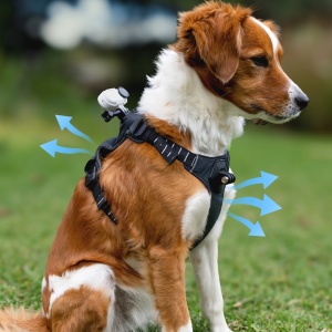 Ham de prindere pentru animale Insta360 GO 3 / GO 3S - mărimea M - Img 6