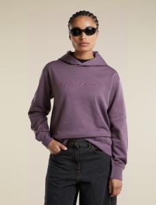Icebreaker - hanorac - 360 RealFleece Elemental LS Hood W - Grey Plum - L - Img 5