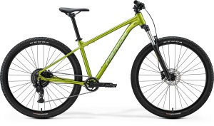 Merida Big.Nine 20 Verde (Verdeargintiu)