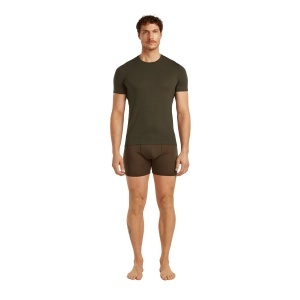 Tricou Barbati Icebreaker Merino 150 Anatomica Gri - Img 4