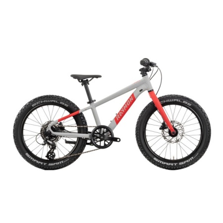 Bicicleta Copii Raymon Yanga 20 Pro 2025 - 20 Inch, Gri - Altus  - Img 2