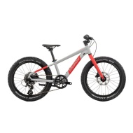 Bicicleta Copii Raymon Yanga 20 Pro 2025 - 20 Inch, Gri - Altus  - Img 2