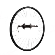 Roata Spate 29"(622x19C) SXT Basic Only-Capsata-36H-FD Filetat