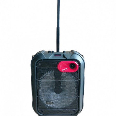 Difuzor de petrecere, Boxa activa tip troller 12", Lumini LED, Microfon Party Karaoke