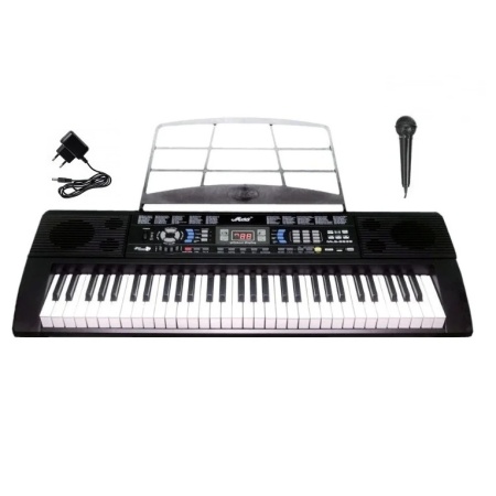 Set orga electronica invatat 6639 + Stativ reglabil + Microfon, 61